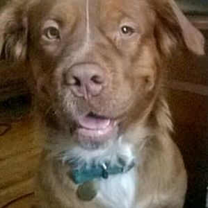 Meet your Posher, Raymond